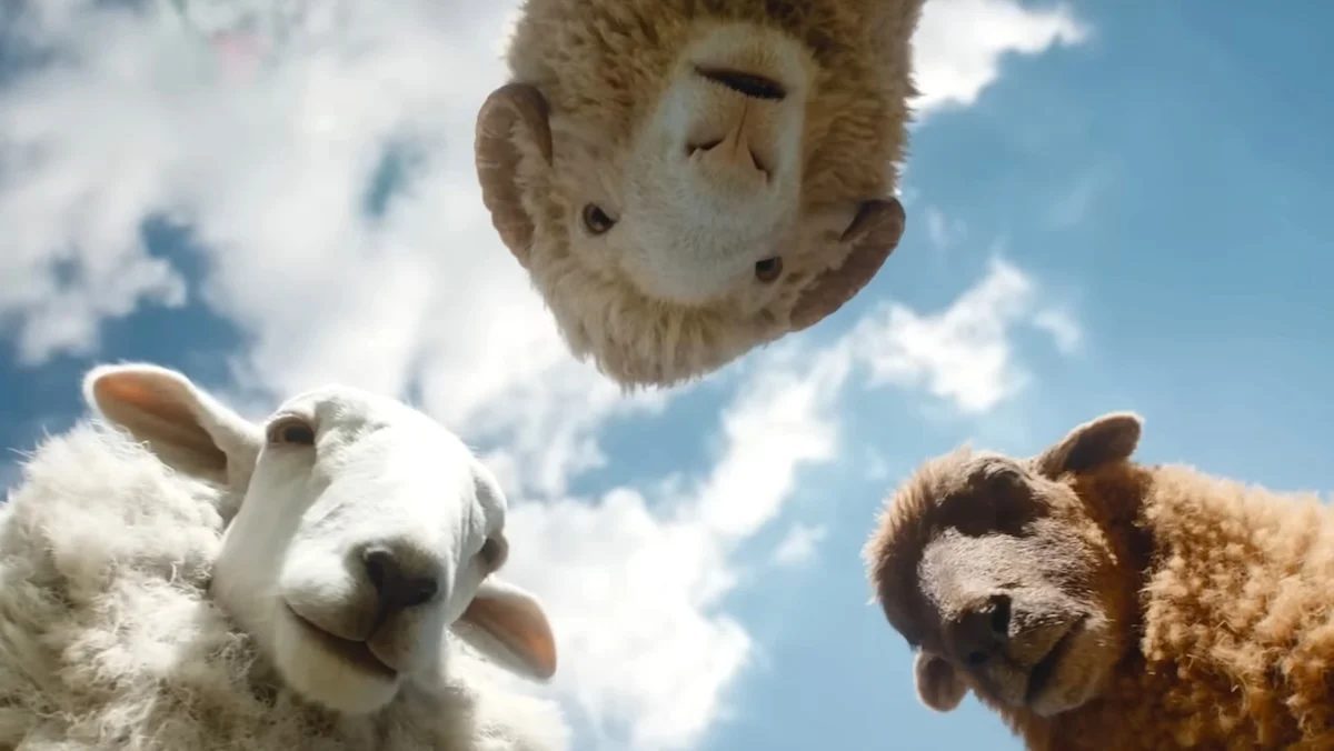 A bárányok nyomoznak gazdájuk halála után Hugh Jackman új filmjében