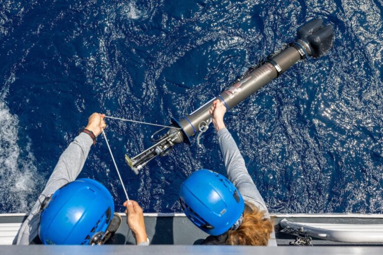 A miniatűr robotbóják feltárják az oxigénszegény mélytengerek rejtett kémiai folyamatai alakulását