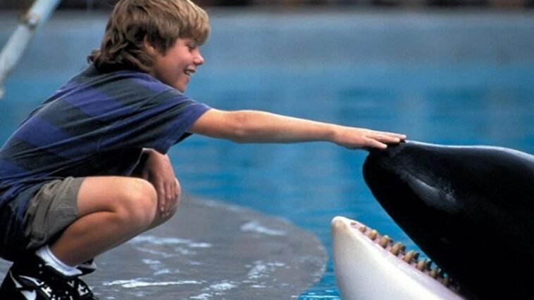 A Free Willy rebootot jelentett be a Warner Bros a Russo fivérek producerkedésével