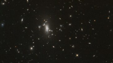 A Hubble a 200 ezredik Föld körüli keringésén egy gravitációsan lencsézett szupernóvát figyelt meg